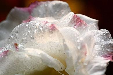 粉丝自制《塞尔达传说 众神的三角力量》PC移植版